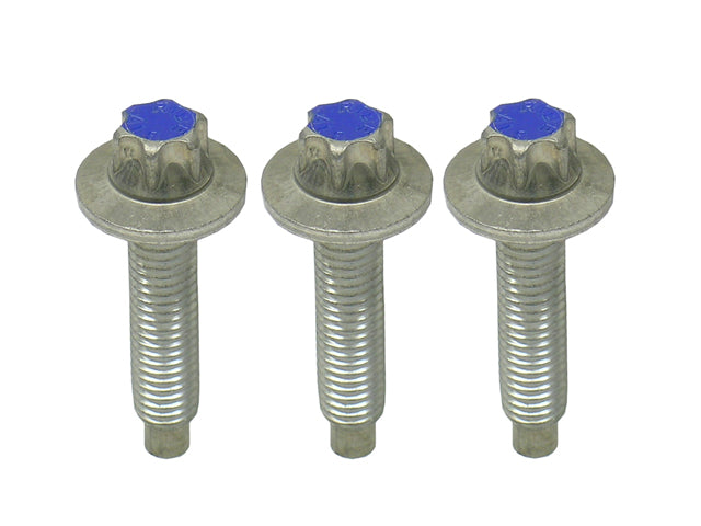 Water Pump Bolt Kit - Rein Automotive (11510392553)