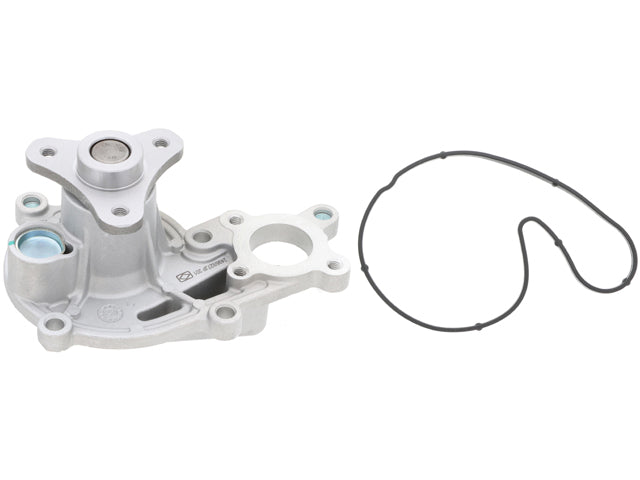 Water Pump - Saleri (without pulley) (11518482250)