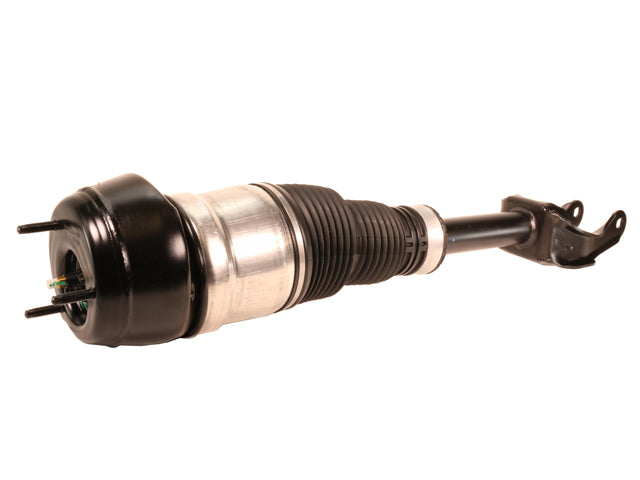 Air Suspension Strut - Front Right - O.E.M. (1663205066)