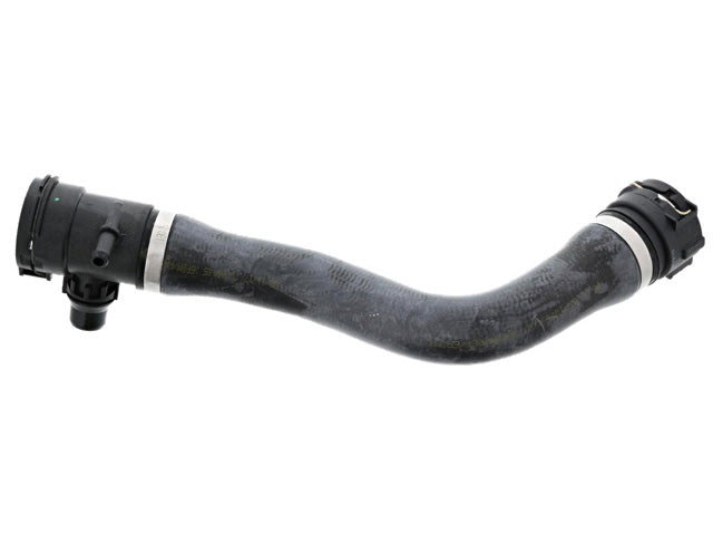 Radiator Hose - Upper - Rein Automotive (17127596837)