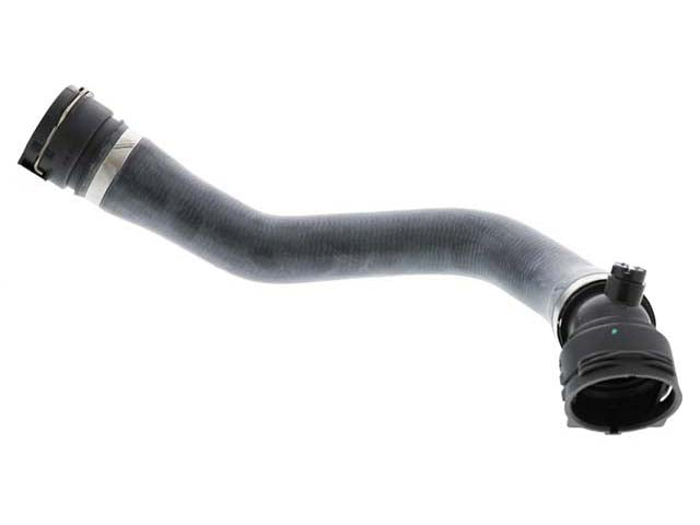 Radiator Hose - Lower - Rein Automotive (17127596838)