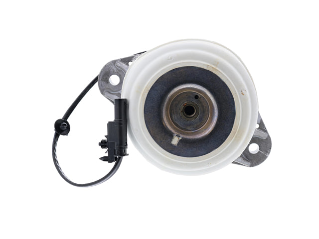 Engine Mount - O.E.M. (2042403617)