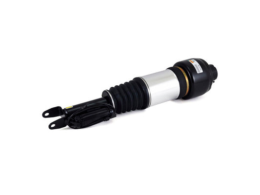 Shock Absorber (Hydropneumatic Spring Leg) - Arnott Industries (2193201113)