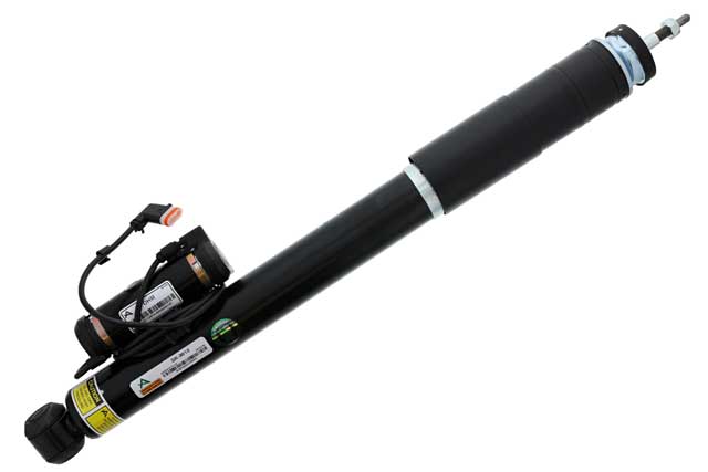 Shock Absorber - Rear - Arnott Industries (2193260400)