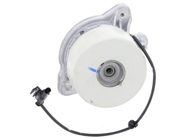 Engine Mount - Corteco (2222407217)