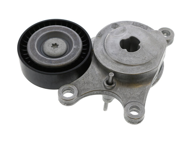Drive Belt Tensioner - Includes Pulley - INA (2602003900)