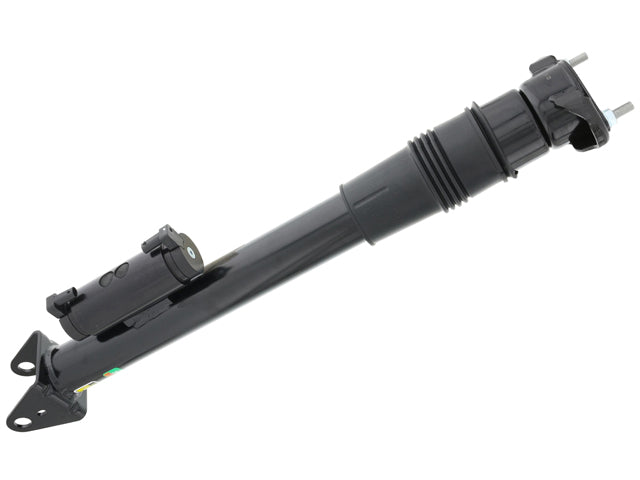 Shock Absorber - Rear - Arnott Industries (2923201600)