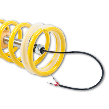 kw coilover kit ddc ecu bmw m4 (f82) coupe bmw m3 m4 f80 f82 f8x iconic garage