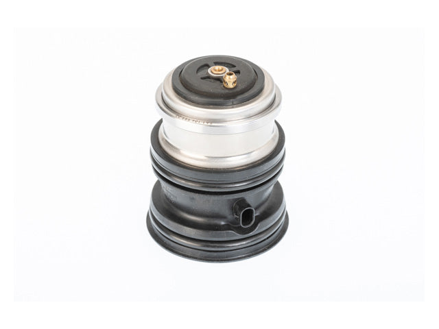 Thermostat with Seal - Wahler (94810603404)