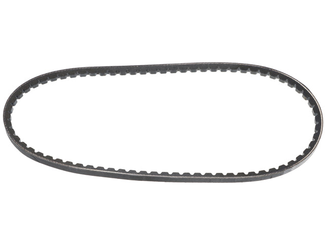 Belt - Alternator - Continental (99919234351)